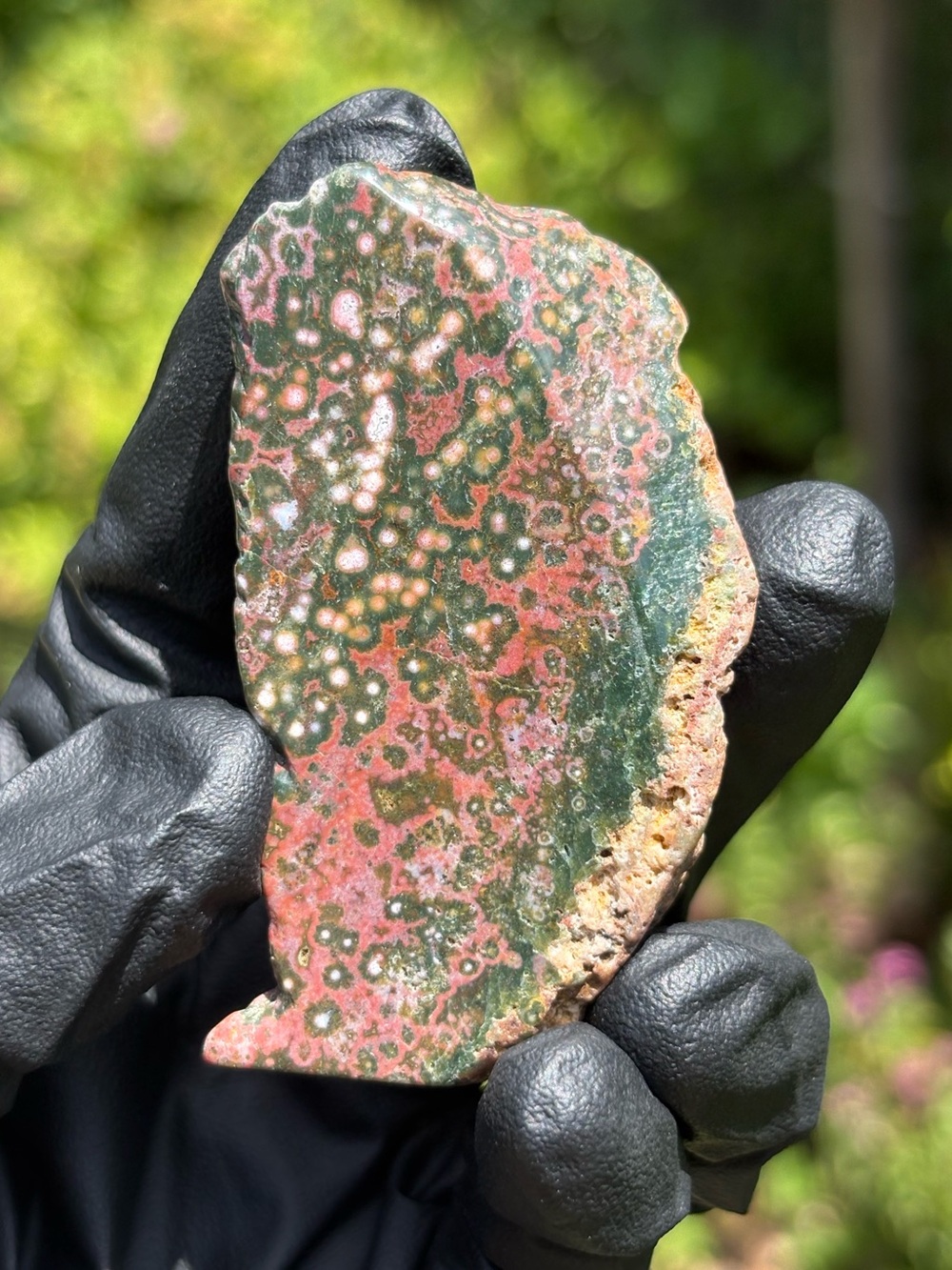 Ocean Jasper Crystal Slab - Sea Jasper Freeform - Polished Orbicular Jasper